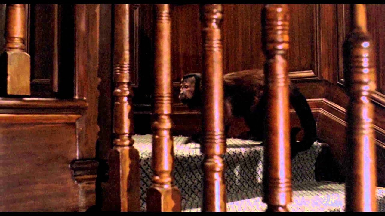 Video for the film Monkey Shines — Ella Gets Revenge (1/1) Monkey Shines (1988) HD