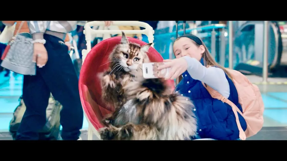 Video for the film Cat and Dog — Trailer [Subtitled]