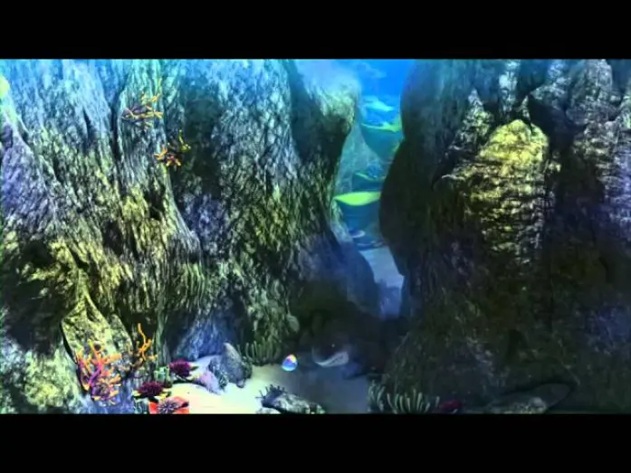 Video for the film The Reef 2: High Tide — REEF 2: HIGHTIDE - Official Trailer