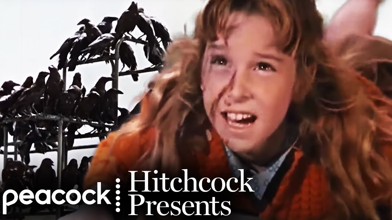 Video for the film The Birds — The Crows Attack the School - Scene | The Birds (1963) | Hitchcock Presents