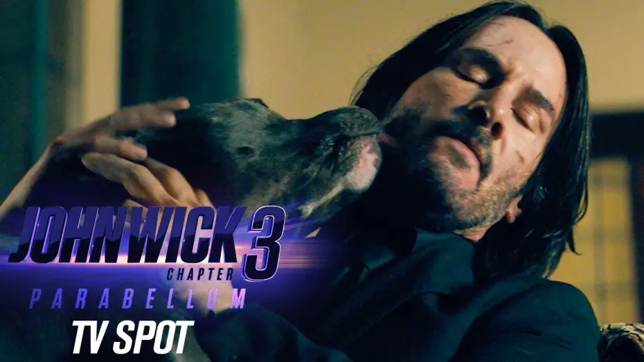 Video for the film John Wick: Chapter 3 - Parabellum — Official TV Spot “Dogs”