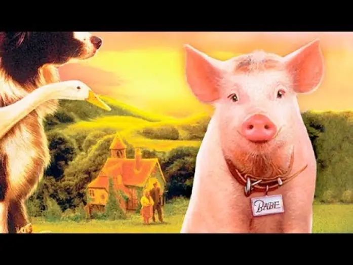 Video for the film Babe — BABE, El Cerdito Valiente (Trailer español)