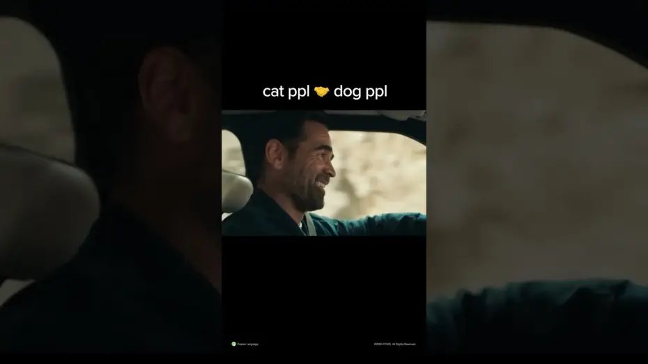 Video for the film A Big Bold Beautiful Journey — Cat vs Dog People