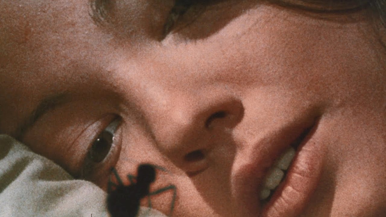 Video for the film Phase IV — Phase IV (1974) ORIGINAL TRAILER [HQ]