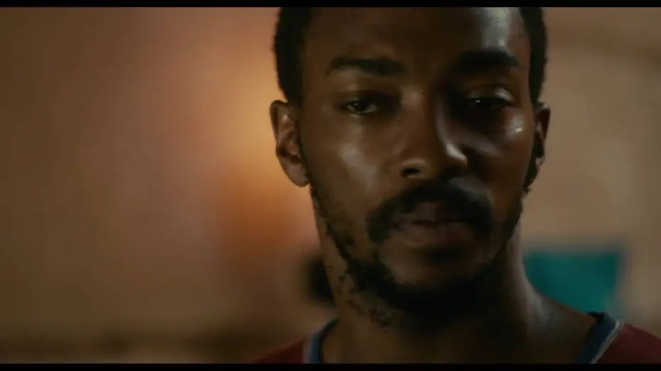 Video for the film Shelter — Official Trailer