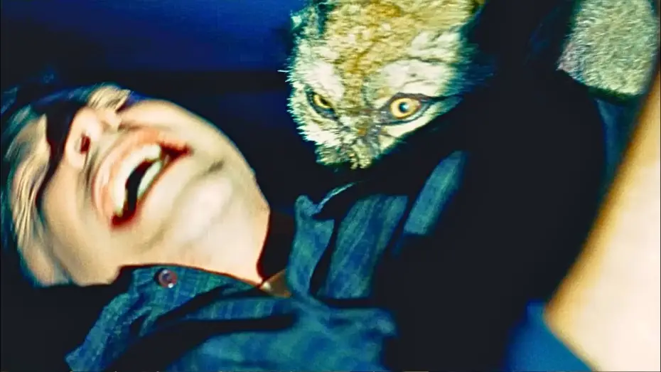 Video for the film Coyotes — Get Off Him