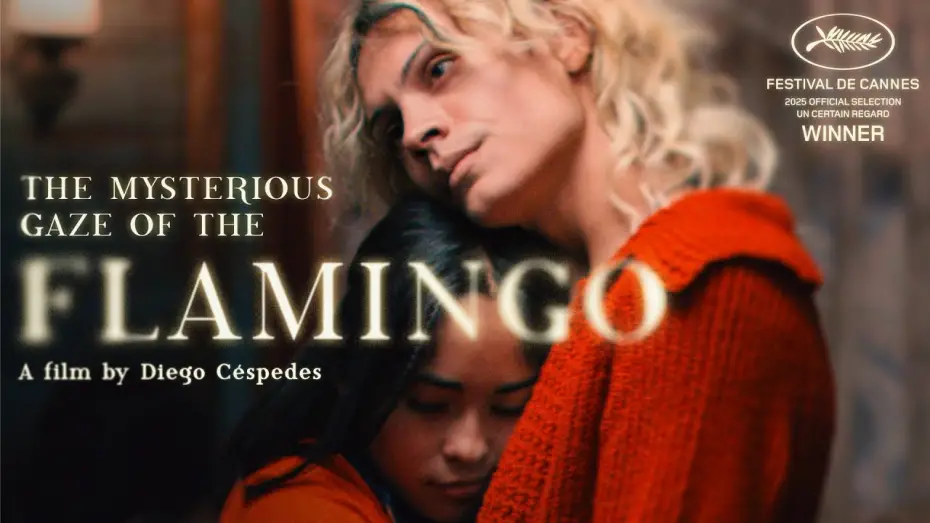 Video for the film The Mysterious Gaze of the Flamingo — The Mysterious Gaze of the Flamingo - Trailer