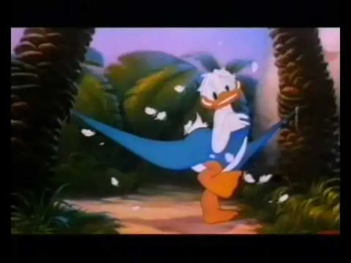 Video for the film Fantasia 2000 — Fantasia 2000 - Teaser Italiano (2000)