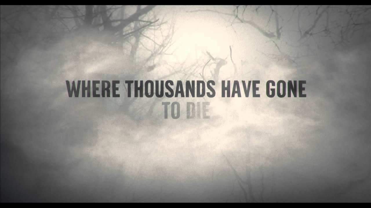 Video for the film The Forest — The Forest - Trailer