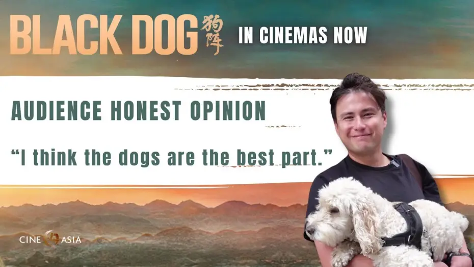 Video for the film Black Dog — UK Dog-owner Audience Honest Opinion