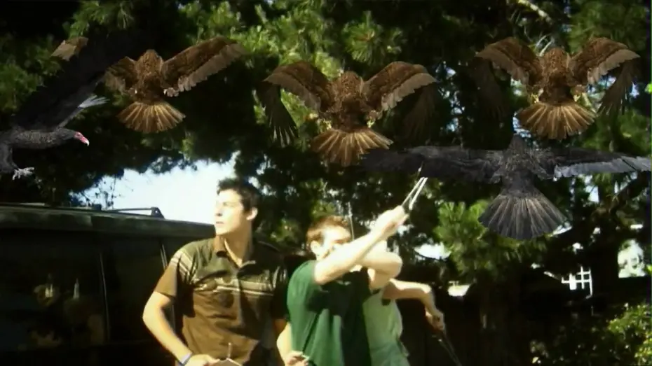 Video for the film Birdemic: Shock and Terror — The Official BIRDEMIC: SHOCK AND TERROR Theatrical Trailer