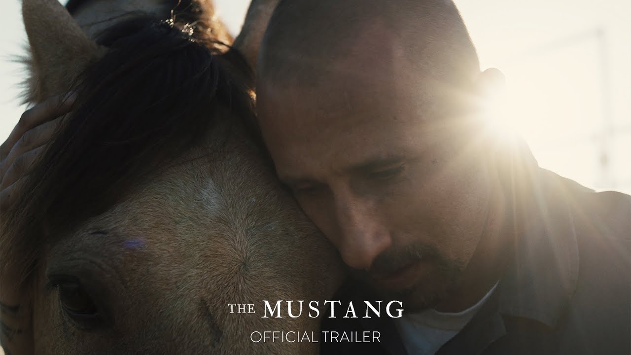 Video for the film The Mustang — Official Trailer