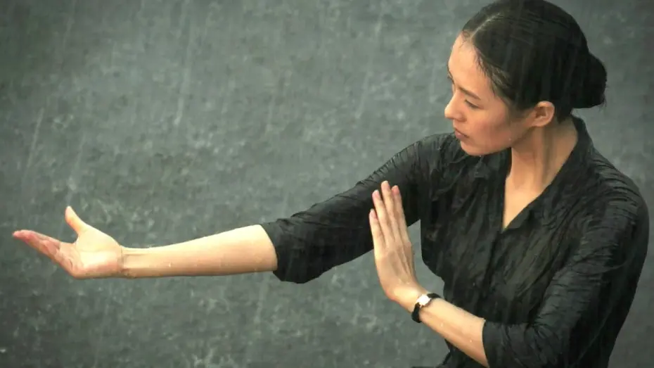 Video for the film The Grandmaster — THE GRANDMASTER | Zhang Ziyi