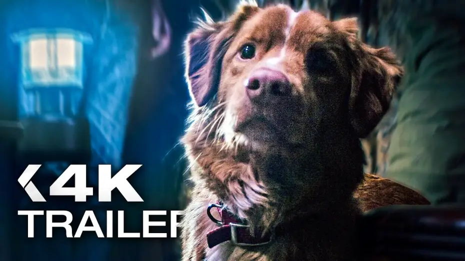 Video for the film Good Boy — GOOD BOY: Trust his instincts Trailer German Deutsch (2025)