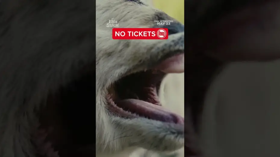 Video for the film Lilo & Stitch — mood.