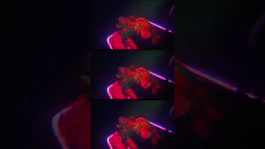 Video for the film Jimmy and Stiggs — Get ready to lose your fucking mind!