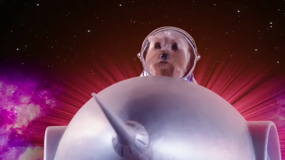Video for the film Pup Star: Better 2Gether — Music Video - Is This For Real
