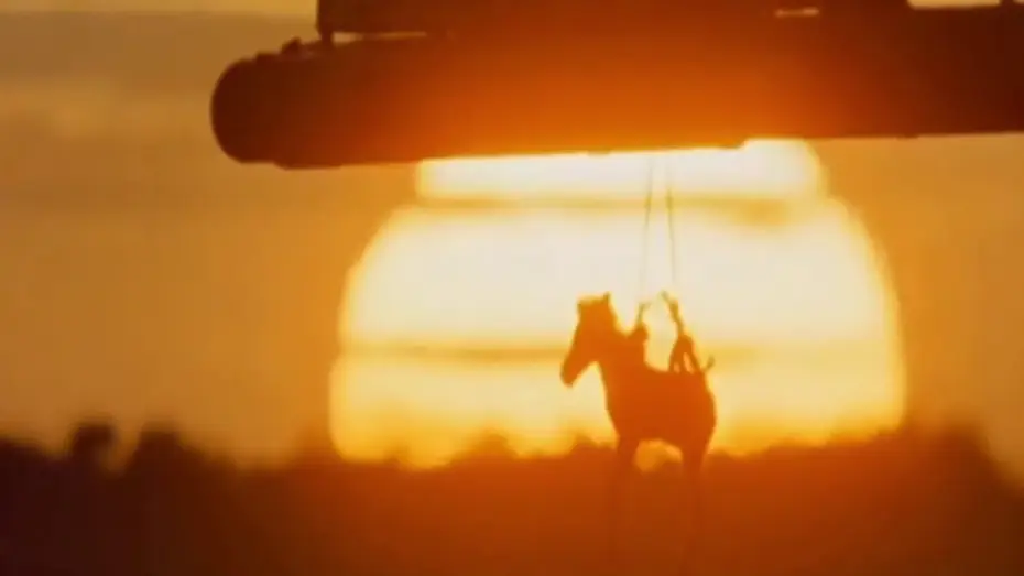 Video for the film Africa Blood and Guts — Africa Addio (trailer by: me)