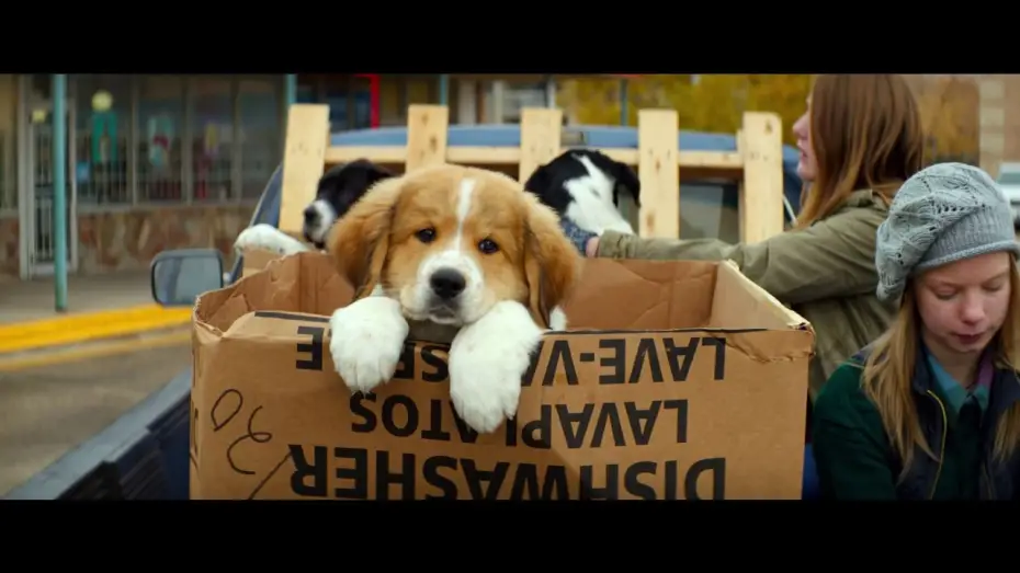Video for the film A Dog's Purpose — BAILEY – EIN FREUND FÜRS LEBEN - offizieller Teaser