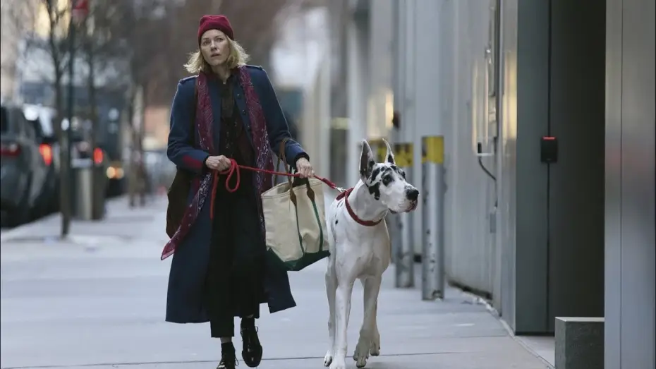 Video for the film The Friend — L'Amico Fedele | Trailer Ufficiale