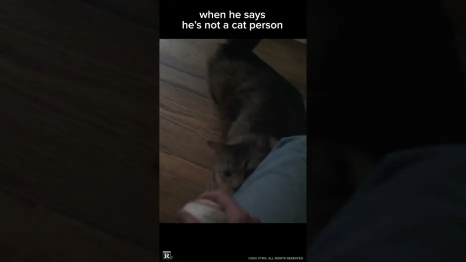 Video for the film Caught Stealing — Cat Daddy
