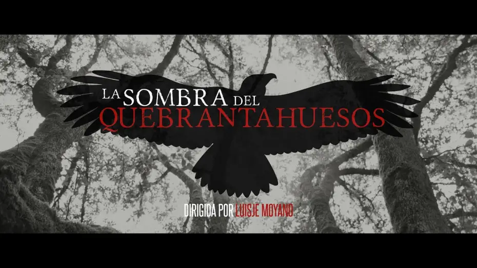 Video for the film La sombra del quebrantahuesos — Tráiler oficial de la película "La sombra del quebrantahuesos".