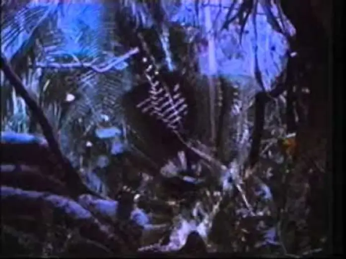 Video for the film Predator — PREDATOR (1987) Con Arnold Schwarzenegger - Trailer Cinematografico