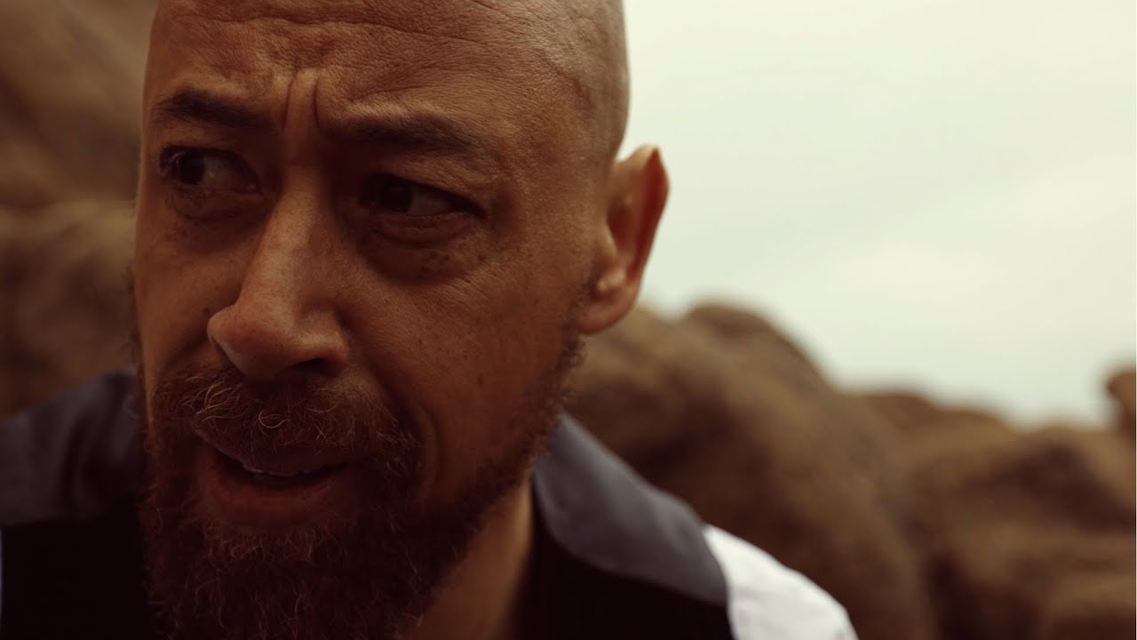 Video for the film Last Flamingo of the Red Summer Sunset — Last Flamingo of the Red Summer Sunset | Official Trailer