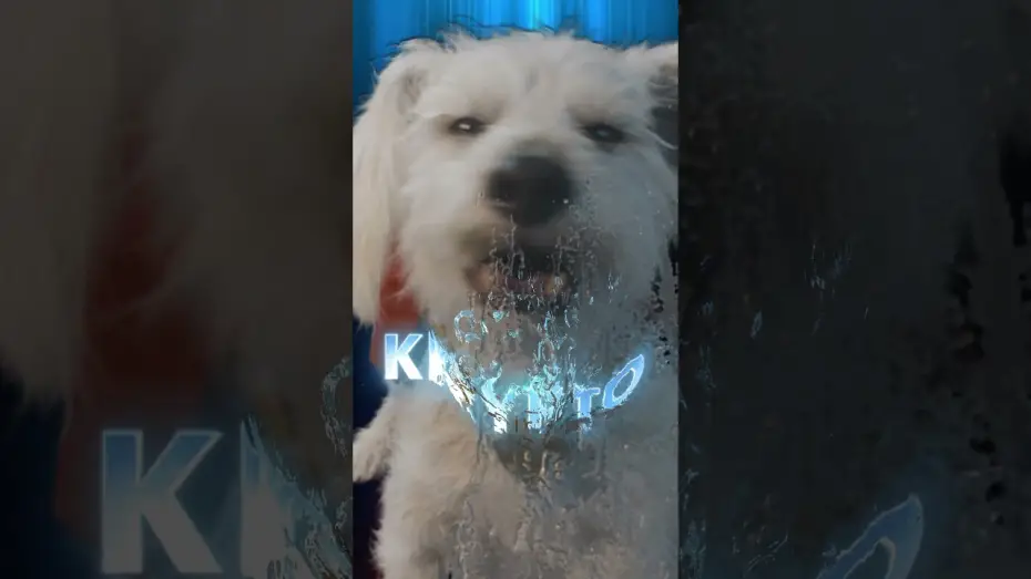 Video for the film Superman: Legacy — Krypto is one of a kind.