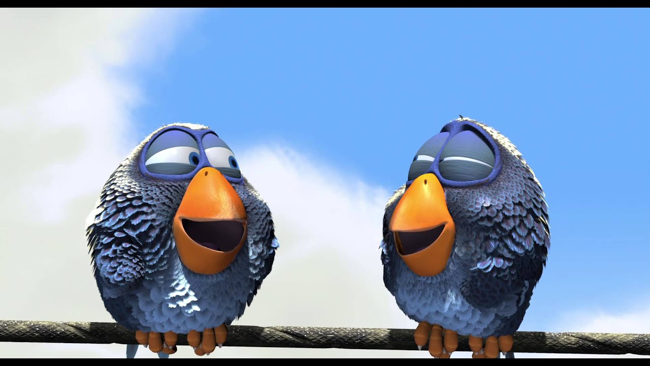 Video for the film For the Birds — For The Birds - Trailer