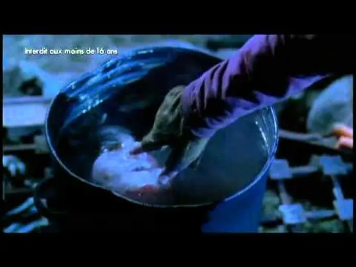 Video for the film Wrong Turn 3: Left for Dead — Détour mortel 3 - Wrong Turn 3 - bande-annonce.wmv