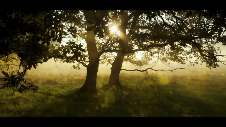 Video for the film undertone — Relaxing Guided Meditation
