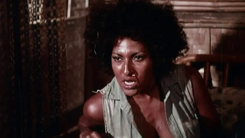 Video for the film The Big Bird Cage — The Big Bird Cage (1972, trailer) [Pam Grier, Carol Speed, Anitra Ford, Candice Roman]