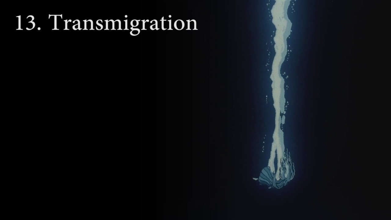 Video for the film Angel's Egg — Angel's Egg Soundtrack ~ 13. Transmigration