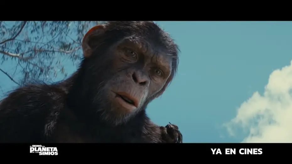 Video for the film Kingdom of the Planet of the Apes — Anuncio: 'Un virus los hizo más inteligentes'