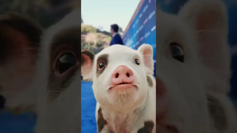 Video for the film Moana — make sure you get his good side