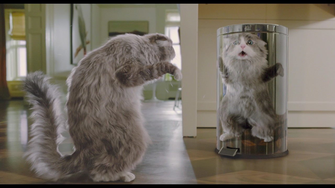 Video for the film Nine Lives — Девять жизней - Trailer