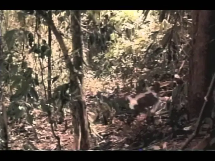 Video for the film DNA — Dna Trailer 1997