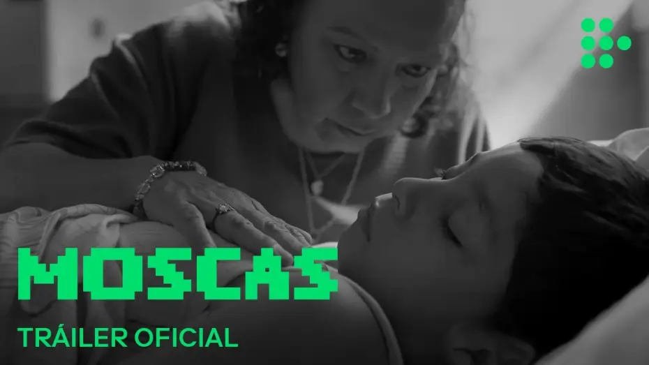 Video for the film Flies — MOSCAS | Tráiler Oficial | En cines julio 2