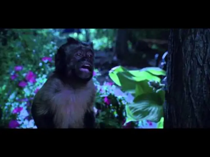 Video for the film Zookeeper — Zookeeper - Bande annonce 1 VF