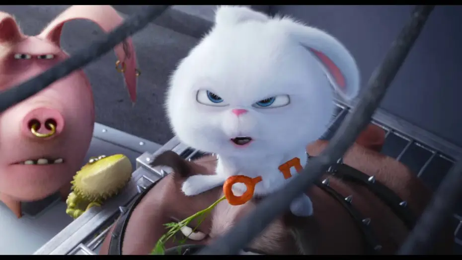 Video for the film The Secret Life of Pets — Comme Des Bêtes / Extrait "Max et Duke veulent se rallier à Pompon" VF [Au cinéma le 27 juillet]