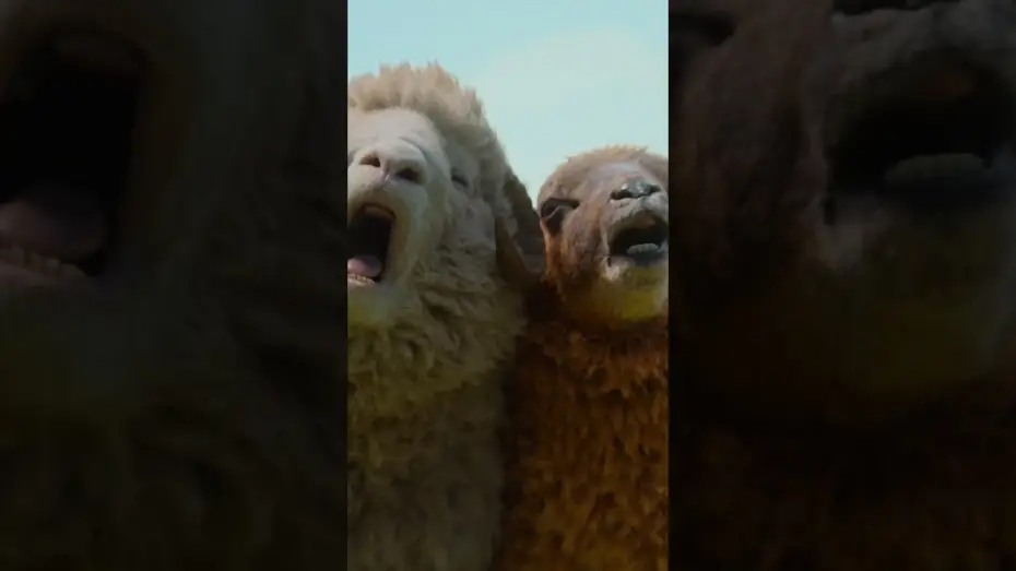 Video for the film The Sheep Detectives — Visit Denbrook