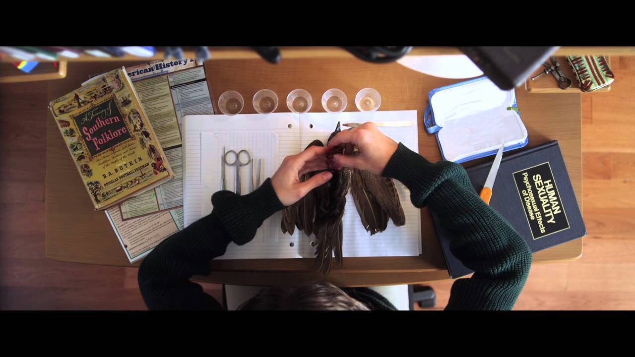 Video for the film Excision — EXCISION Clip -- "Bird Surgery"