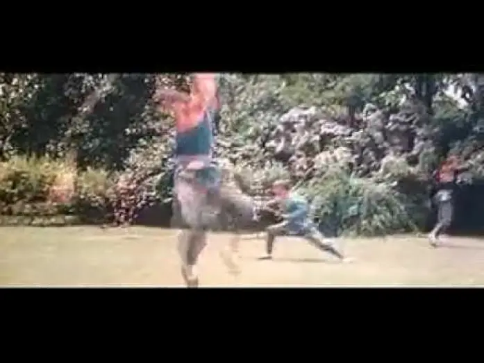 Video for the film Shaolin Temple — The Shaolin Temple (1982) original trailer
