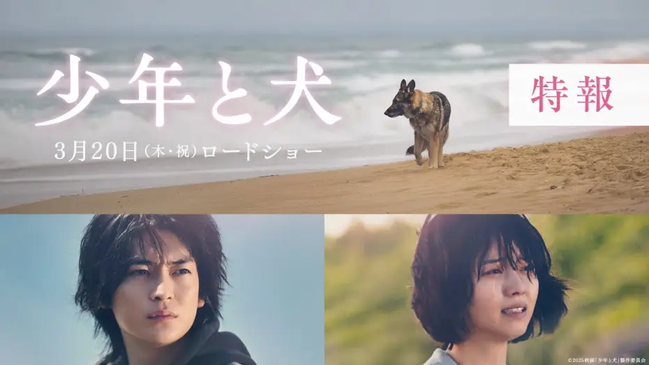 Video for the film The Boy and the Dog — 映画『少年と犬』特報映像【2025年3月20日(木・祝)公開】