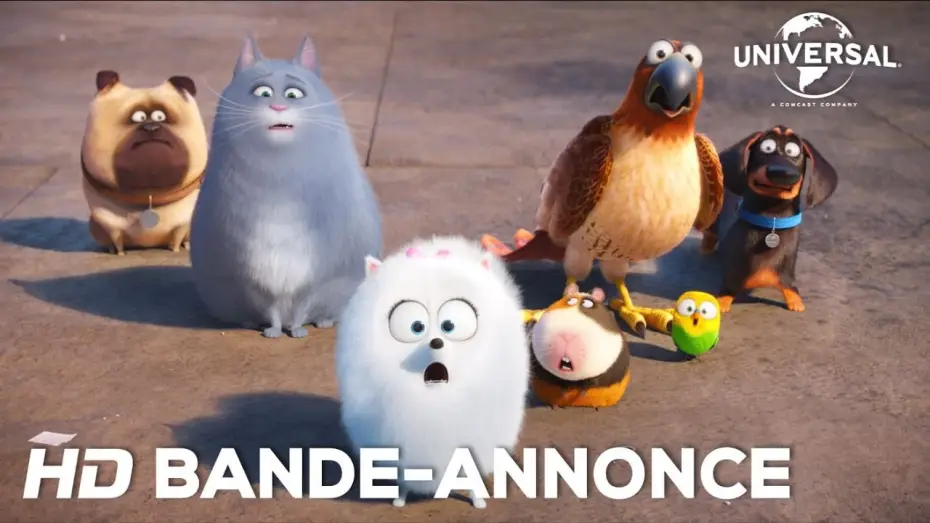Video for the film The Secret Life of Pets — Comme Des Bêtes / Bande-annonce officielle 2 VF [Au cinéma le 27 juillet 2016]