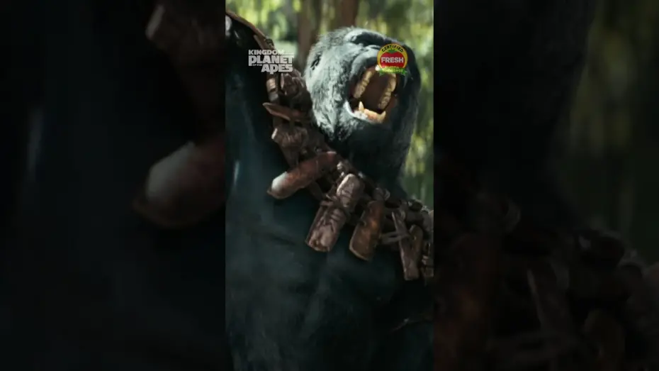 Video for the film Kingdom of the Planet of the Apes — Wonderful Day
