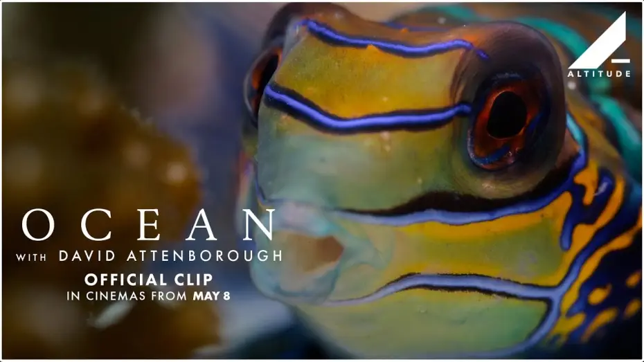 Video for the film Ocean with David Attenborough — 'Variety Of Ocean Life' Clip