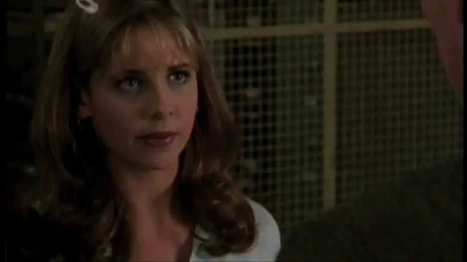 Video for the series Buffy the Vampire Slayer — Season 1 Trailer