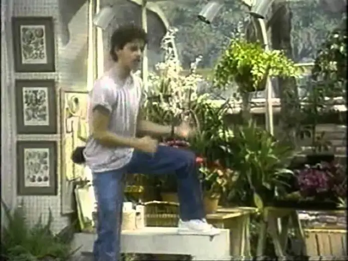 Video for the series Growing Pains — Unser lautes Heim - Trailer Pro 7 (1993)